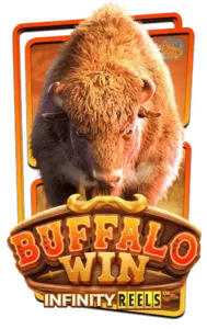 Buffalo win